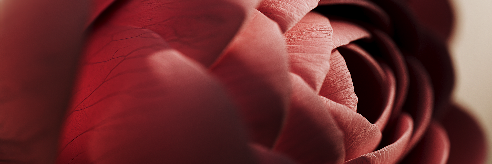 main_thumb_bubble